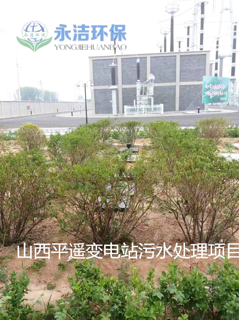 &#20048;&#40060;