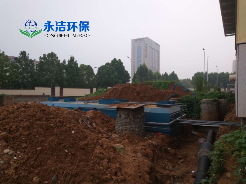 &#20048;&#40060;