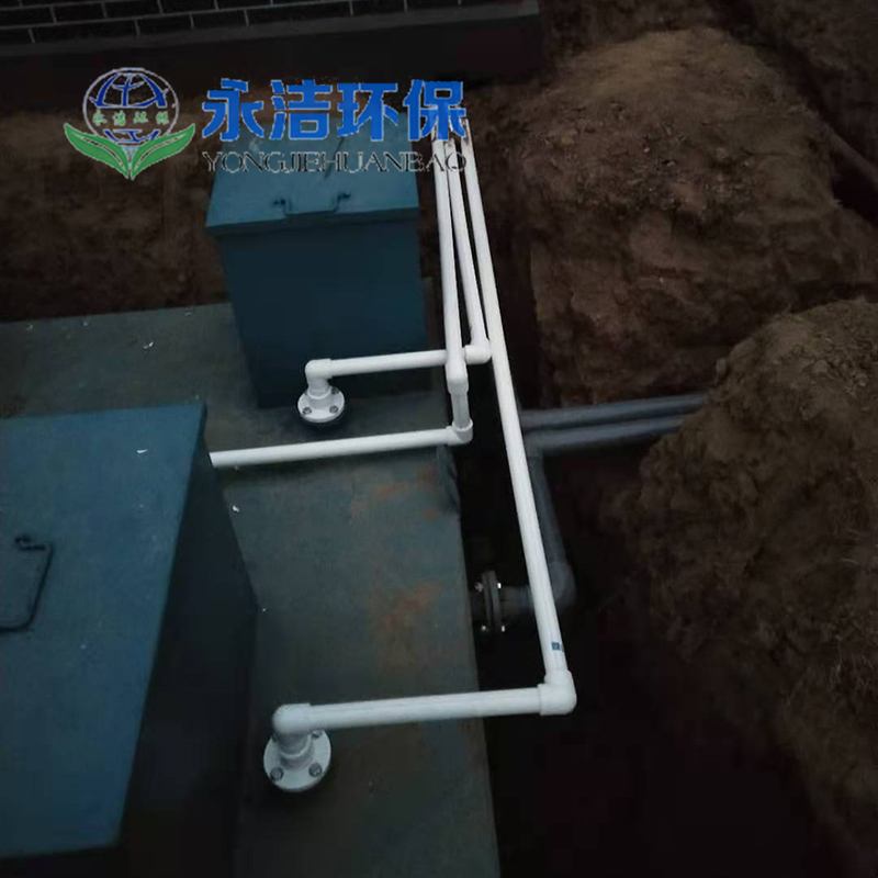 &#20048;&#40060;